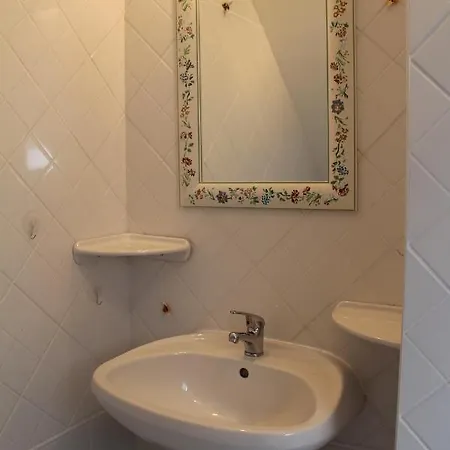 Alpha * Badacsonytördemic