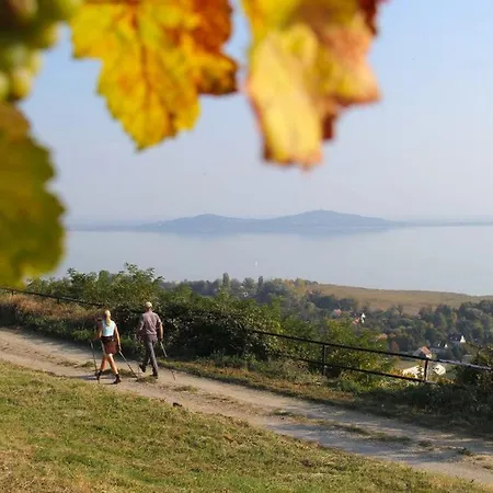 Alpha Case de vacanță *