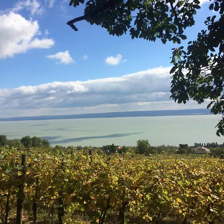 Alpha Badacsonytördemic