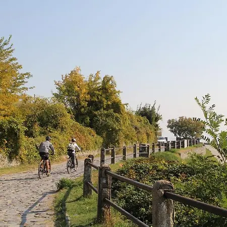 Alpha Badacsonytördemic