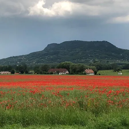 Alpha Hébergement de vacances