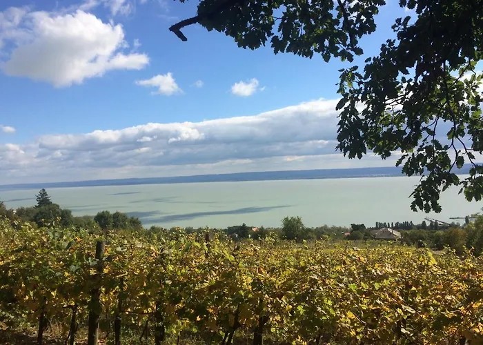 Alpha Badacsonytördemic