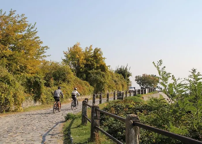 Alpha Badacsonytördemic