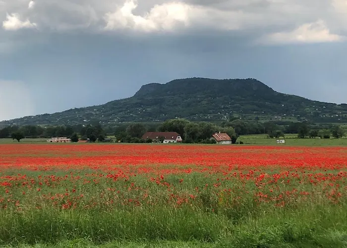 Alpha بيت للعطل